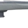 Howa 22 ARC Bolt Action